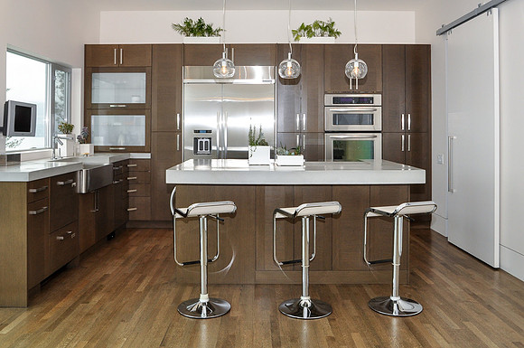 Modern Kitchen
